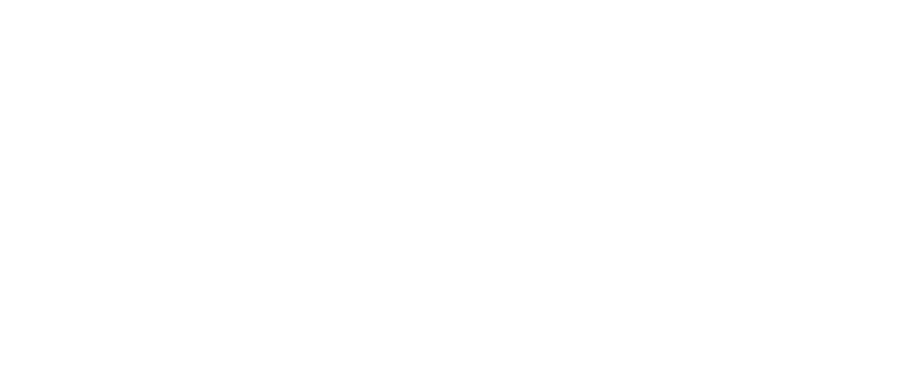 BWXT main logo large white on a clear background
