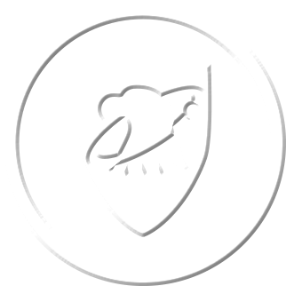 BWXT nuclear technical services icon white on a clear background